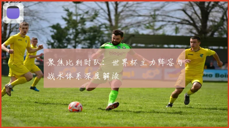 聚焦比利时队：世界杯主力阵容与战术体系深度解读